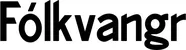 Produktbeispiel Schriftzug - Fólkvangr