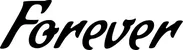 Produktbeispiel Schriftzug - Forever