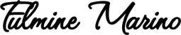 Produktbeispiel Schriftzug - Fulmine Marino