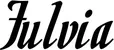 Produktbeispiel Schriftzug - Fulvia