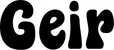 Produktbeispiel Schriftzug - Geir