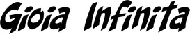 Produktbeispiel Schriftzug - Gioia Infinita