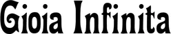 Produktbeispiel Schriftzug - Gioia Infinita