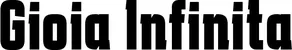Produktbeispiel Schriftzug - Gioia Infinita