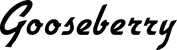 Produktbeispiel Schriftzug - Gooseberry