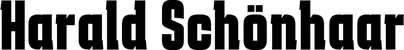Produktbeispiel Schriftzug - Harald Schönhaar