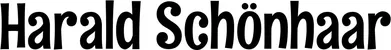 Produktbeispiel Schriftzug - Harald Schönhaar