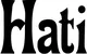 Produktbeispiel Schriftzug - Hati
