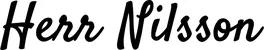 Produktbeispiel Schriftzug - Herr Nilsson