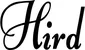 Produktbeispiel Schriftzug - Hird