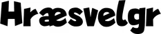 Produktbeispiel Schriftzug - Hræsvelgr