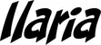 Produktbeispiel Schriftzug - Ilaria