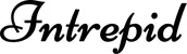 Produktbeispiel Schriftzug - Intrepid