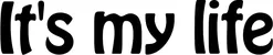 Produktbeispiel Schriftzug - It's my life
