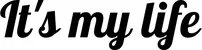 Produktbeispiel Schriftzug - It's my life
