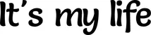 Produktbeispiel Schriftzug - It's my life