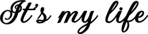 Produktbeispiel Schriftzug - It's my life