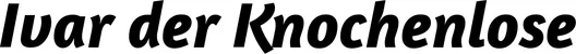 Produktbeispiel Schriftzug - Ivar der Knochenlose