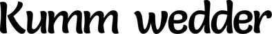 Produktbeispiel Schriftzug - Kumm wedder