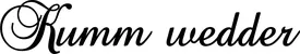 Produktbeispiel Schriftzug - Kumm wedder