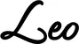 Produktbeispiel Schriftzug - Leo