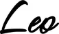 Produktbeispiel Schriftzug - Leo
