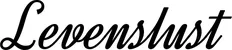 Produktbeispiel Schriftzug - Levenslust