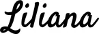 Produktbeispiel Schriftzug - Liliana