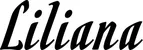 Produktbeispiel Schriftzug - Liliana