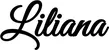 Produktbeispiel Schriftzug - Liliana