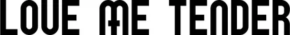 Produktbeispiel Schriftzug - love me tender