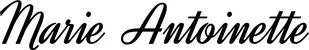 Produktbeispiel Schriftzug - Marie Antoinette