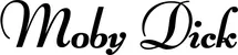 Produktbeispiel Schriftzug - Moby Dick