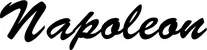 Produktbeispiel Schriftzug - Napoleon