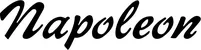 Produktbeispiel Schriftzug - Napoleon