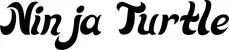 Produktbeispiel Schriftzug - Ninja Turtle