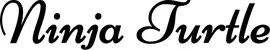Produktbeispiel Schriftzug - Ninja Turtle