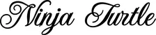 Produktbeispiel Schriftzug - Ninja Turtle