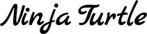 Produktbeispiel Schriftzug - Ninja Turtle