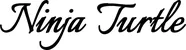 Produktbeispiel Schriftzug - Ninja Turtle
