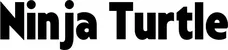 Produktbeispiel Schriftzug - Ninja Turtle