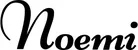 Produktbeispiel Schriftzug - Noemi