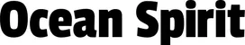 Produktbeispiel Schriftzug - Ocean Spirit