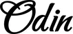 Produktbeispiel Schriftzug - Odin