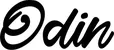 Produktbeispiel Schriftzug - Odin