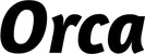 Produktbeispiel Schriftzug - Orca