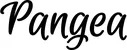 Produktbeispiel Schriftzug - Pangea