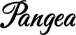 Produktbeispiel Schriftzug - Pangea