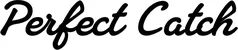 Produktbeispiel Schriftzug - Perfect Catch
