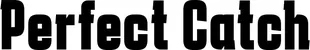 Produktbeispiel Schriftzug - Perfect Catch